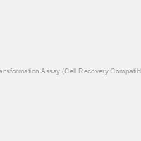 CytoSelect 96-Well Cell Transformation Assay (Cell Recovery Compatible, Fluorometric), Trial Size